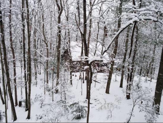 Dew Drop Inn Ellijay Exterior photo